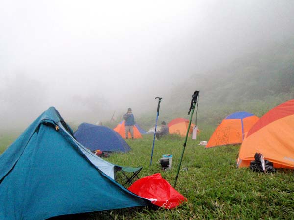 fog-draped campsite