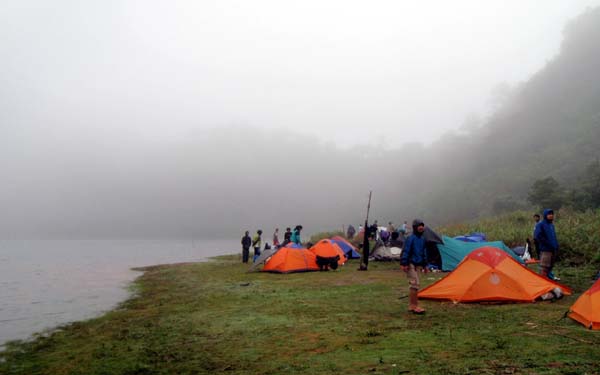 foggy campsite