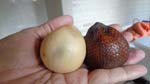 weird fruit called Sasak...snake skin, mabolo taste, jackfruit texture