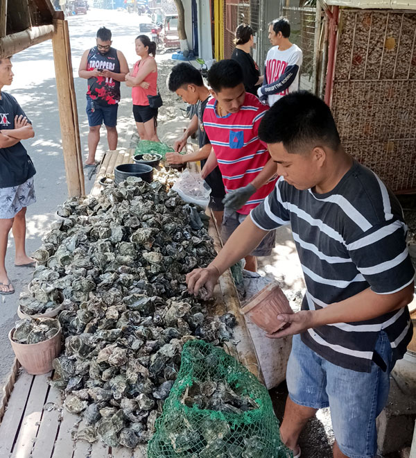 oysters, Bacolod