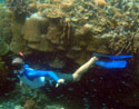 Skin Diving at Apo Island