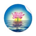 Vipassana Meditation Course Part 3: Forgiveness