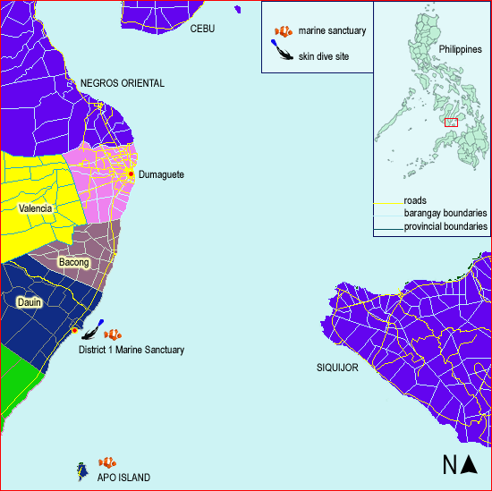 Dauin map