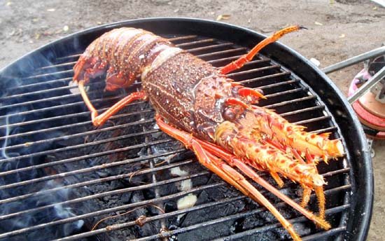 lobster on a grill
