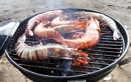 jumbo tiger prawns on the grill