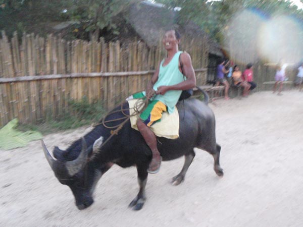 farmer riding a carabao