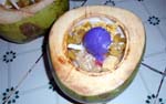 halo-halo inside a coconut shell with the coconut meat still inside. You scrape off the coconut meat into your halo-halo...then for water, you drink the coconut juice. How cool is that?