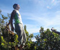 Climbing Mt. Matutum, South Cotabato