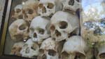the now infamous skulls - a grim reminder of the horrors that took place in Cambodia
