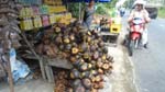 this fruit is hardly seen in some parts of Vietnam, but can be purchased along the Chau Doc - Ha Tien highway