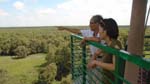 on top of the 7-storie observation tower