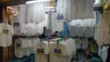 only white shirt store in Chatuchak Market