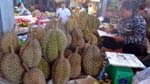 Durian vendor...season is just starting and price is still high at $5/kilo for the bigger variety