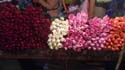 we were to meet our Hanoi hosts at the flower market - I didn't realize Vietnam has so many colors for roses...I counted about 8 including the ones with gradients