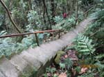 300+ steps down to Casaroro Falls