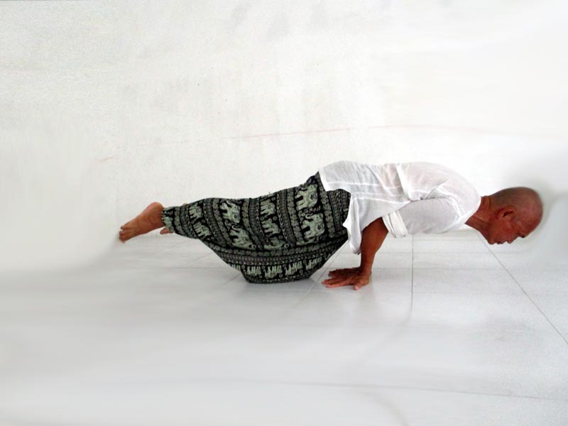 Mayurasana - a pictorial for the weekly class schedule poster