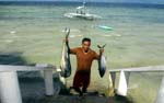 fresh catch from the sea - Dorado (Dolphin Fish) and Yellow Tail Tuna