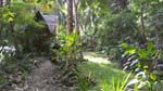 the resort grounds is rich in Narra trees, fruit bearing trees, cacao, etc.