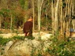a monk in solitude