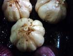 roasted whole garlic compliments any dinner dish