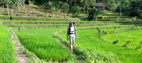 Trekking to the Rice Terraces of Tibiao