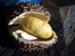 Celebrating Davao's King of Fruits - Durian!