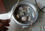 while the dough is rising, boil the clams to extract all the seafood taste from the shells