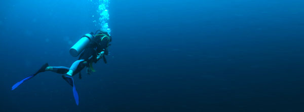 Scuba Diving Tongo Point with SeaQuest Dive Center