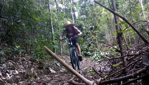 Solo Ride to the Sikatuna Tree Park