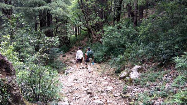Trekking to Naddi from Upper Bhagsu, Dharamshala