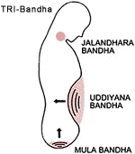 Maha Bandha Mudra
