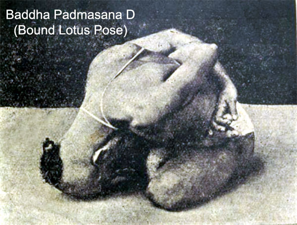 Baddha Padmasana