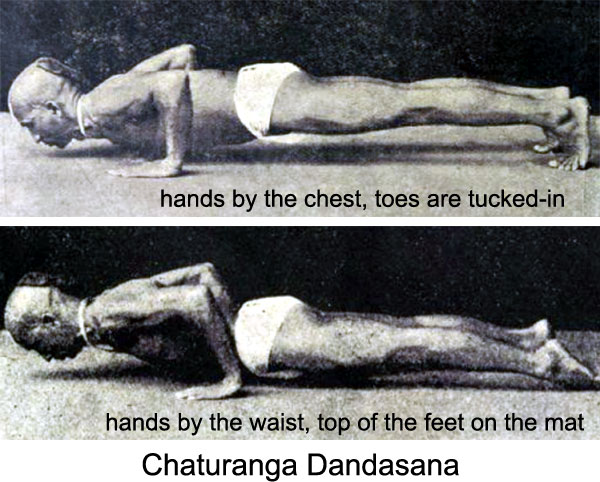Chaturanga Dandasana
