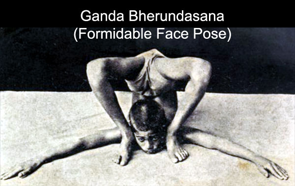 Ganda Bherundasana
