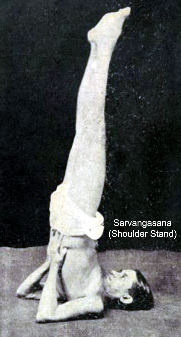 Sarvangasana