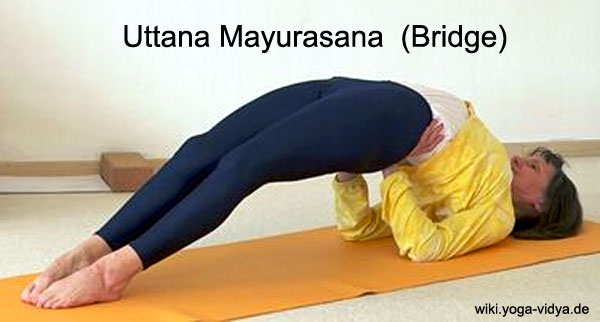 Uttana Mayurasana