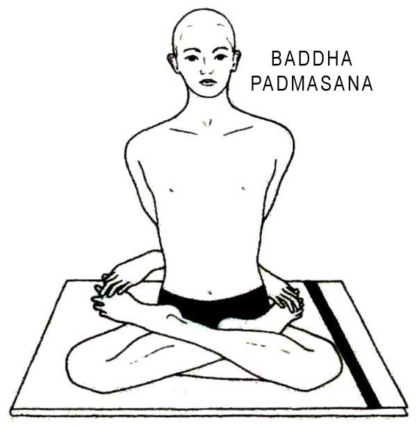 Asana: Padmasana (Lotus's Pose)