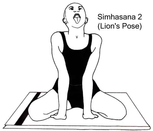 Asana: Simhasana (Lion's Pose)
