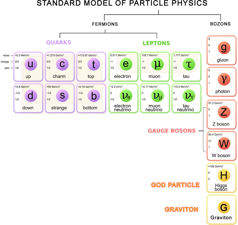 Particle Physics