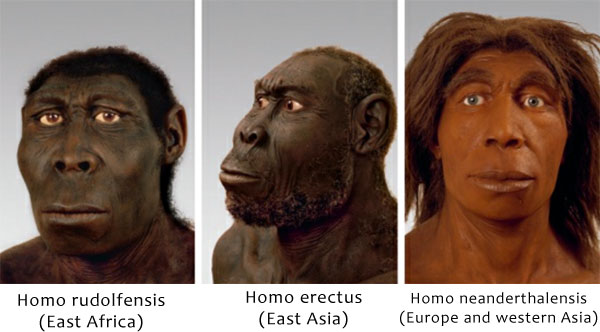 Sapiens: A Brief History of Humankind