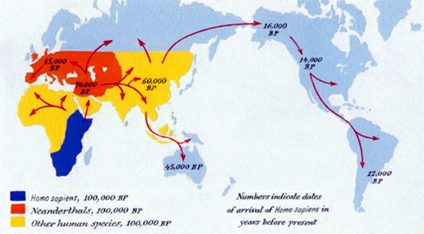 Sapiens: A Brief History of Humankind