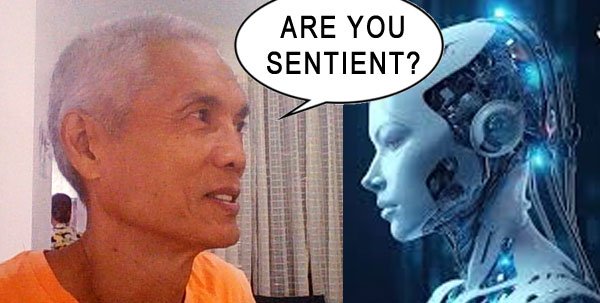 AI Conversation: Sentience