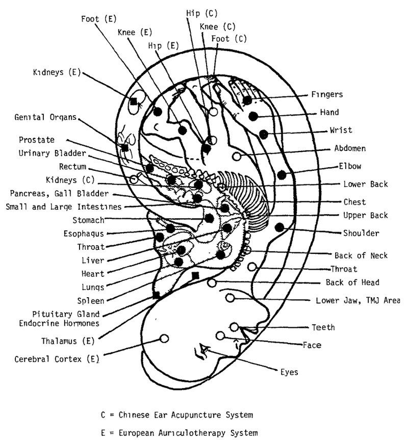 Ear acupuncture points