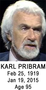 Karl Pribram