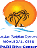 Freediving in Moalboal at Asian Belgian Resort