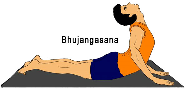 Bhujangasana